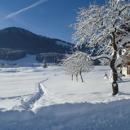 Hollweger Inkl. Chiemgaukarte Appartamento Ruhpolding