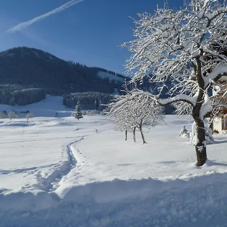 Hollweger Inkl. Chiemgaukarte Apartament Ruhpolding